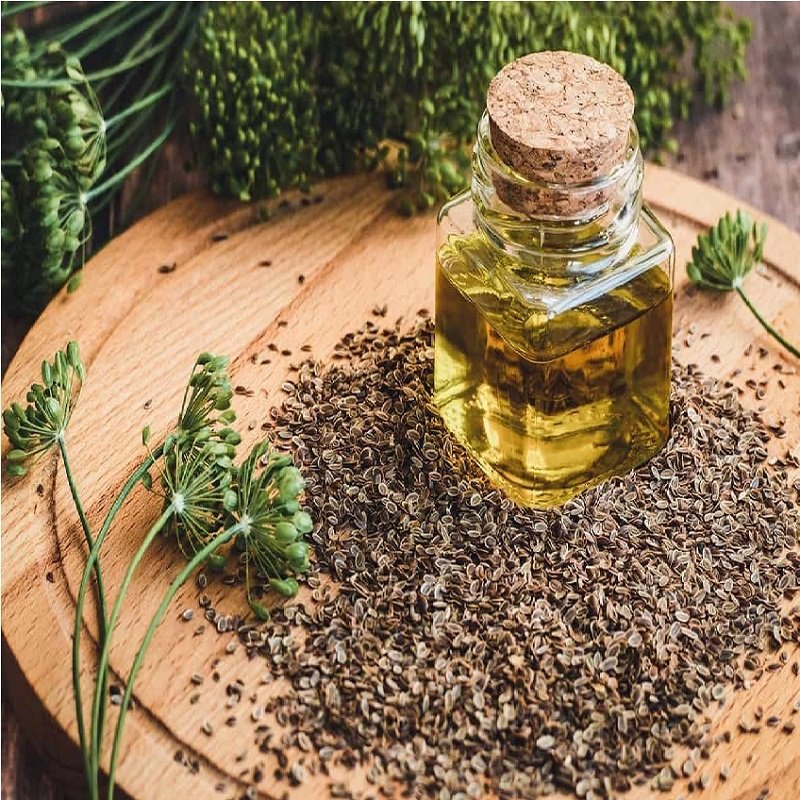 Indian Supplier of Good Quality Top Selling 100% Pure and Natural Therapeutic Grade Dill Seed Essential Oil at Factory Price