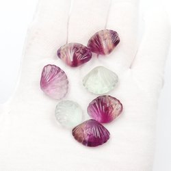 shell