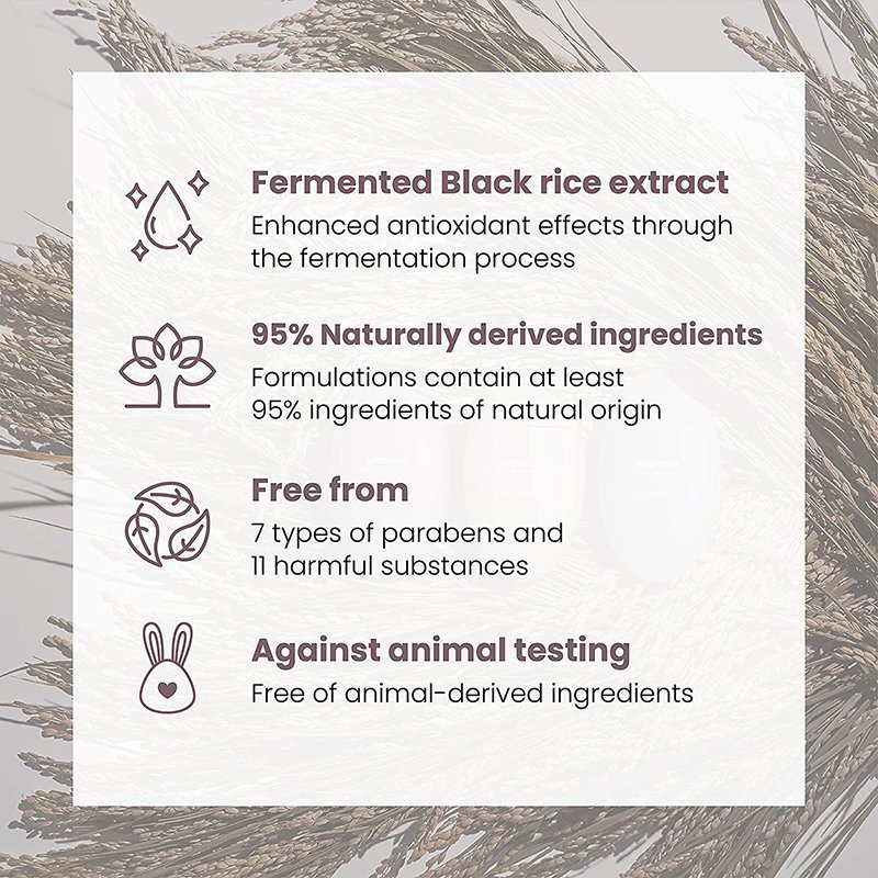 Korean Organic Vegan Natural Fermented Black Rice Anti Aging Whitening Hydrating Deep Cleansing Skin care Set