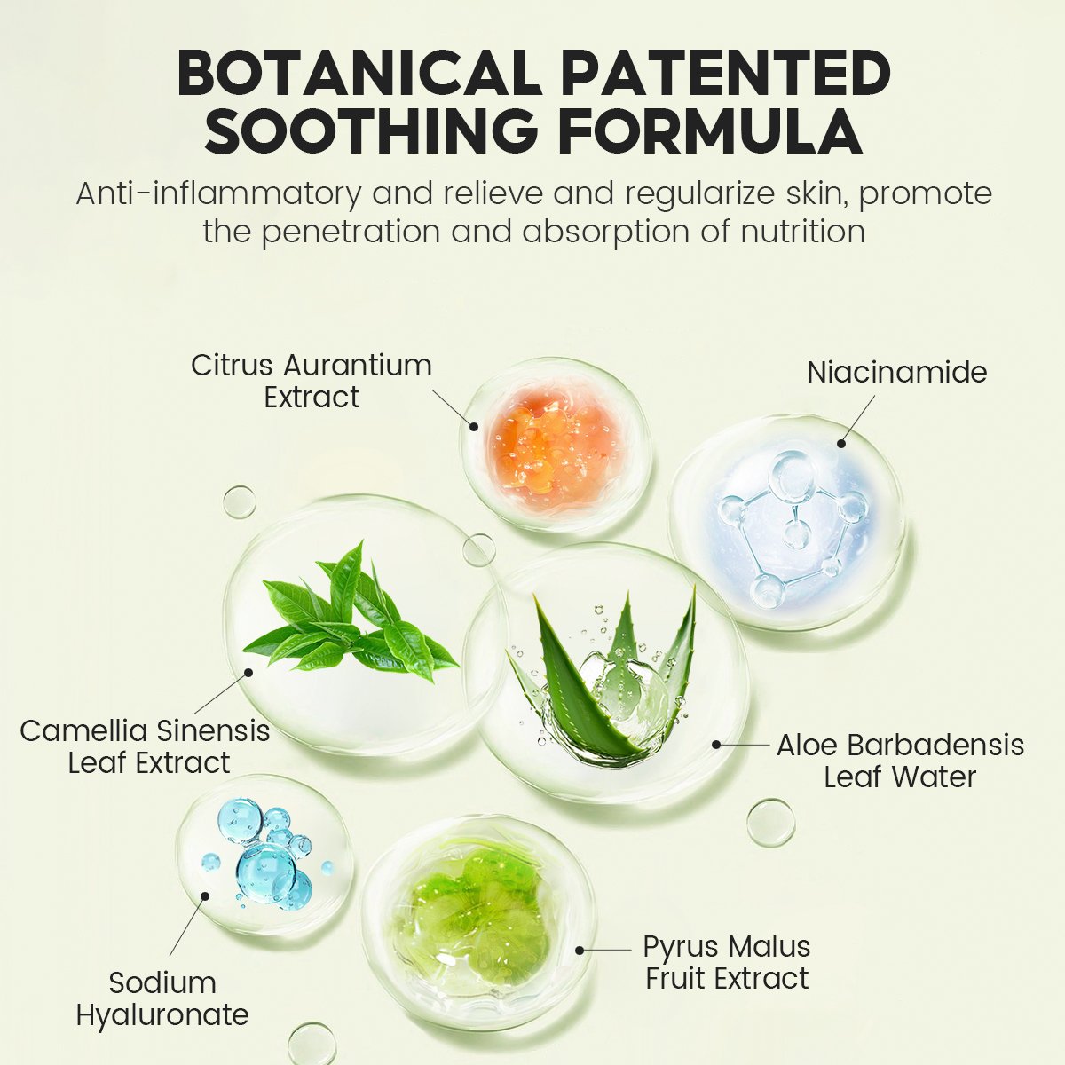 Low MOQ Facial Beauty Products Salicylic Acid Anti-Acne Toner New Product Suitable for All Skin Facial Whitening Toner