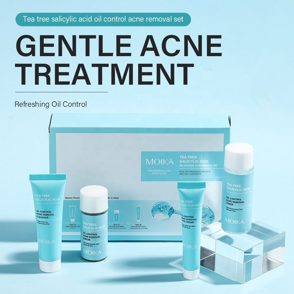 Best Skincare Gift Kit Tea Tree Salicylic Acid Retinol Anti Aging Acne Treatment Serum Oil Control Skin Care Set