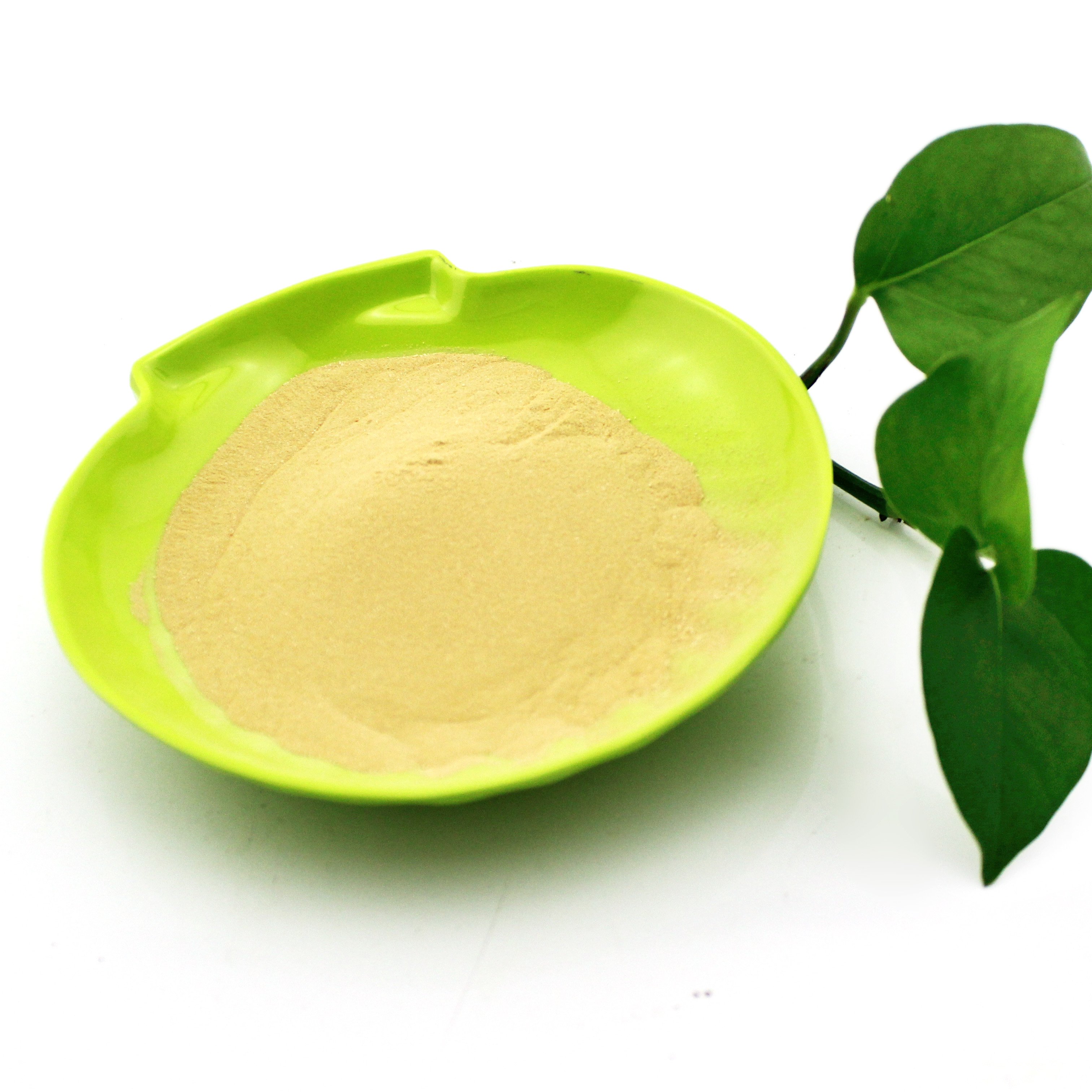 organic fertilizer Biostimulant chemical Fish protein powder fertilizer organic fertilizer plant