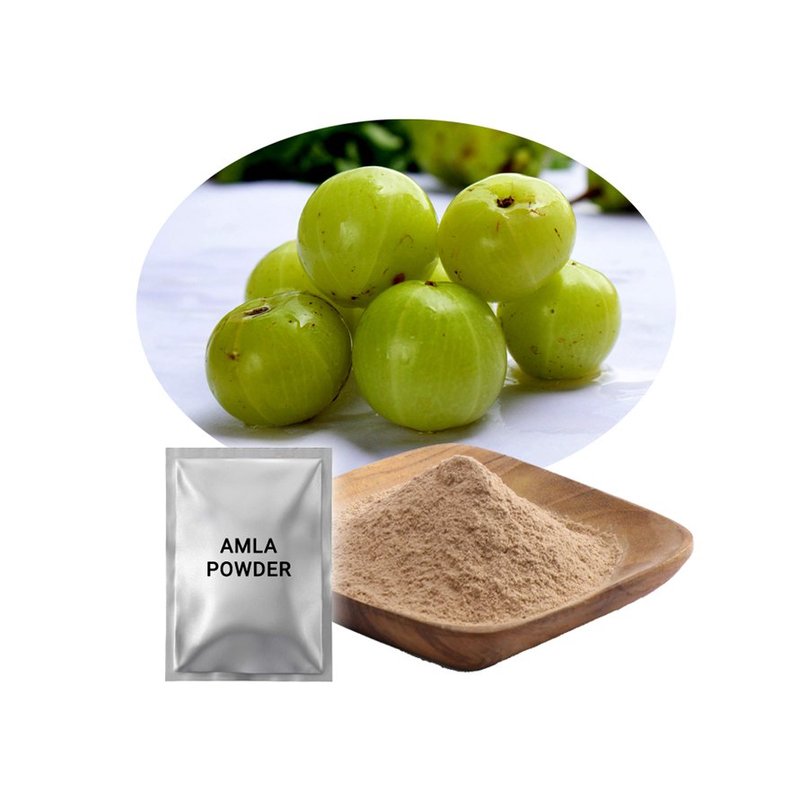 100% Chemical Free Amla Extract Powder Indian Gooseberry Hot Selling Products