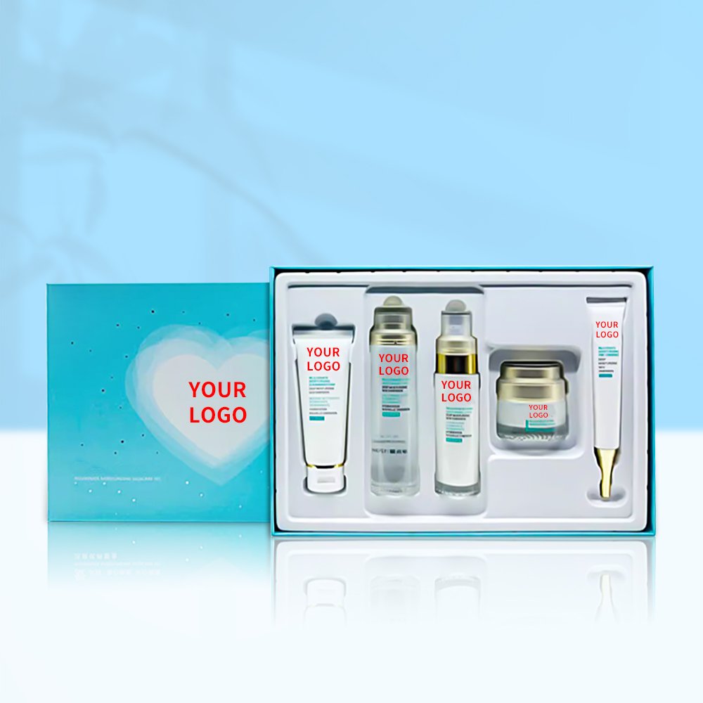 ODM OEM Private Label Hyaluronic Acid Moisturizing Hydrating Brightening Skin Care Set Tea Tree Acne Treatment Skin Care Set