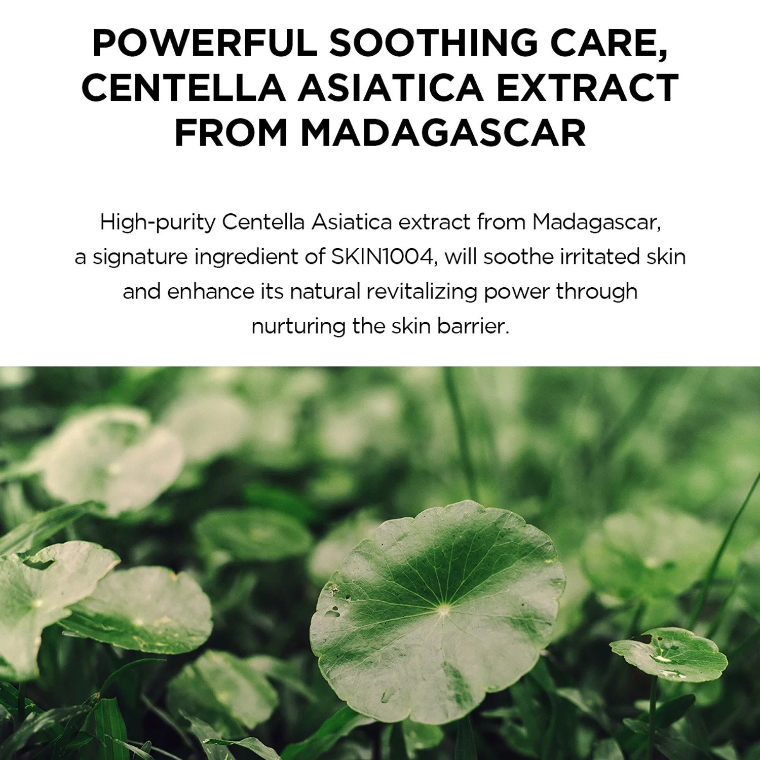 Korean Skincare Sunscreen SKIN1004 Madagascar Centella Hyalu-Cica Water-Fit Sun Serum 50ml
