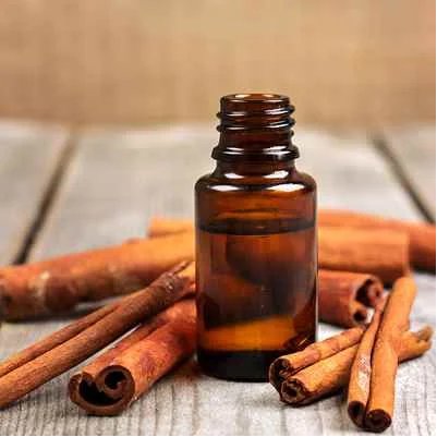 Cassia Oil Organic Cinnamon 100% Pure 25kg Customization Available Private Labelling Bulk Order