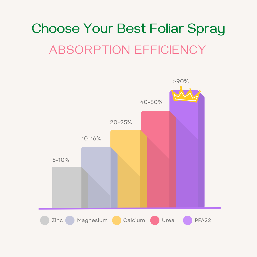 Factory direct sale liquid natural foliar liquid organic fertilizer foliar spray