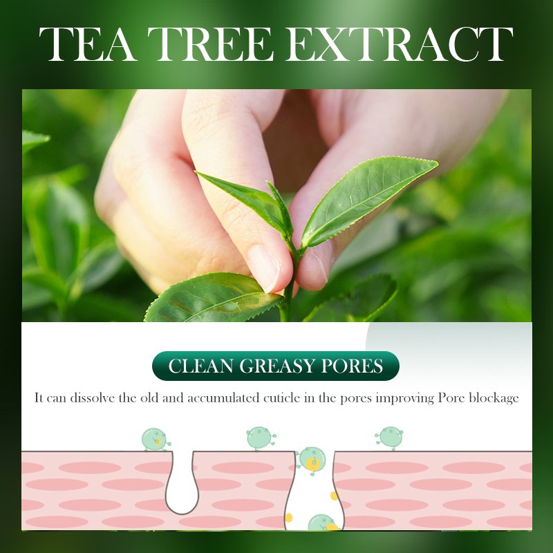 NEW 150g Wholesale Private Label Skin Care Anti Acne Oil Control Gentle Cleansing Tea Tree Bubble Cleanser clean mousse