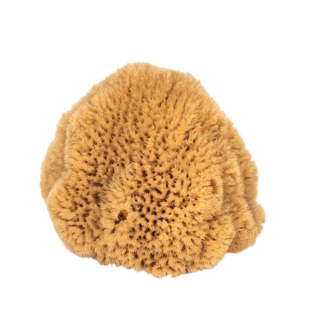 Organic Natural Loofah Body Face Brushes HH Economy Type Hand-Processed Sea Sponges Free Plastic Chemicals Bath Spa Use
