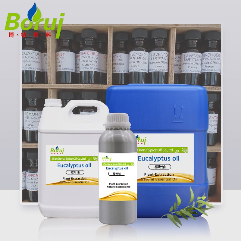 Free Sample Manufacturer Supply Wholesale Price Organic Bulk 100% Pure Natural Eucalyptus Essential Oil for Sale
