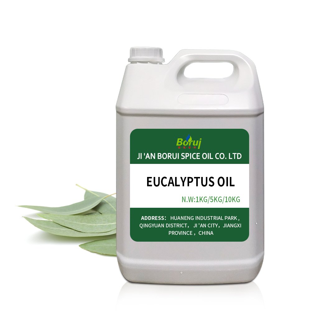 Free Sample Manufacturer Supply Wholesale Price Organic Bulk 100% Pure Natural Eucalyptus Essential Oil for Sale