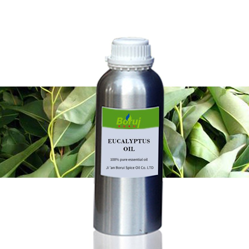 Free Sample Manufacturer Supply Wholesale Price Organic Bulk 100% Pure Natural Eucalyptus Essential Oil for Sale