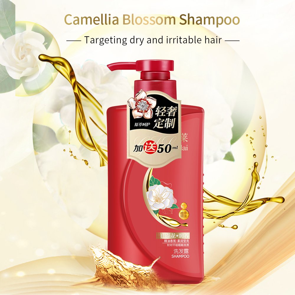 ODM/OEM discounted Plant extraction organic protein nourished hair anti-hair loss Anti-dandruff salon Unisex Shampoo supplier