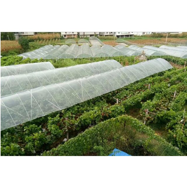 Nursery plant & vine supporting fiberglass rod