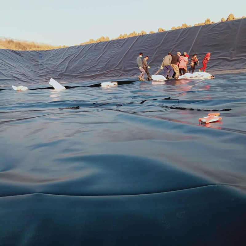 outdoor fish pond geomembrane price geomembrana dam liner geomembranes 2mm hdpe geomembrane sheet fish farming project