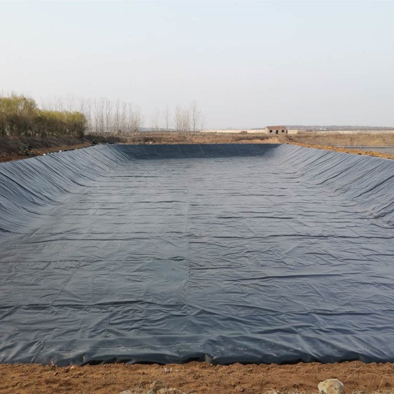 outdoor fish pond geomembrane price geomembrana dam liner geomembranes 2mm hdpe geomembrane sheet fish farming project