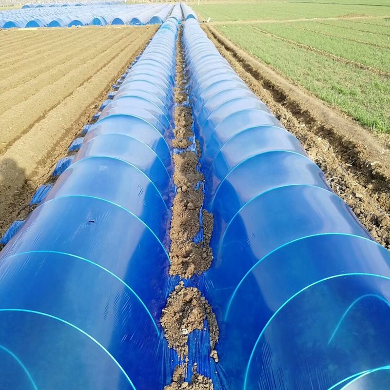 Glass fiber natural color high strength glass fiber rods flexible round sticks fiberglass stake