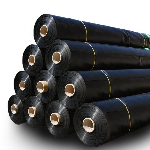 2mm thick geo membrane blue hdpe roll sheet tank geomembrane basin for pond