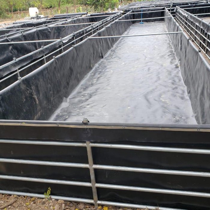 2mm thick geo membrane blue hdpe roll sheet tank geomembrane basin for pond