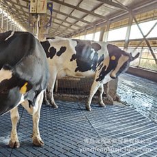 Durable Rubber Sheets Flooring Anti Slip Non-Toxic Horse Stall Mats