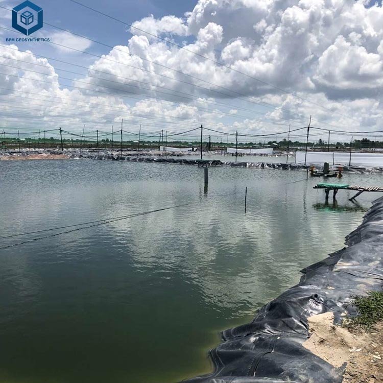 1mm 0.75mm or 0.5mm Rubber Pond Liner for Fish Shrimp Farming in Vietnam