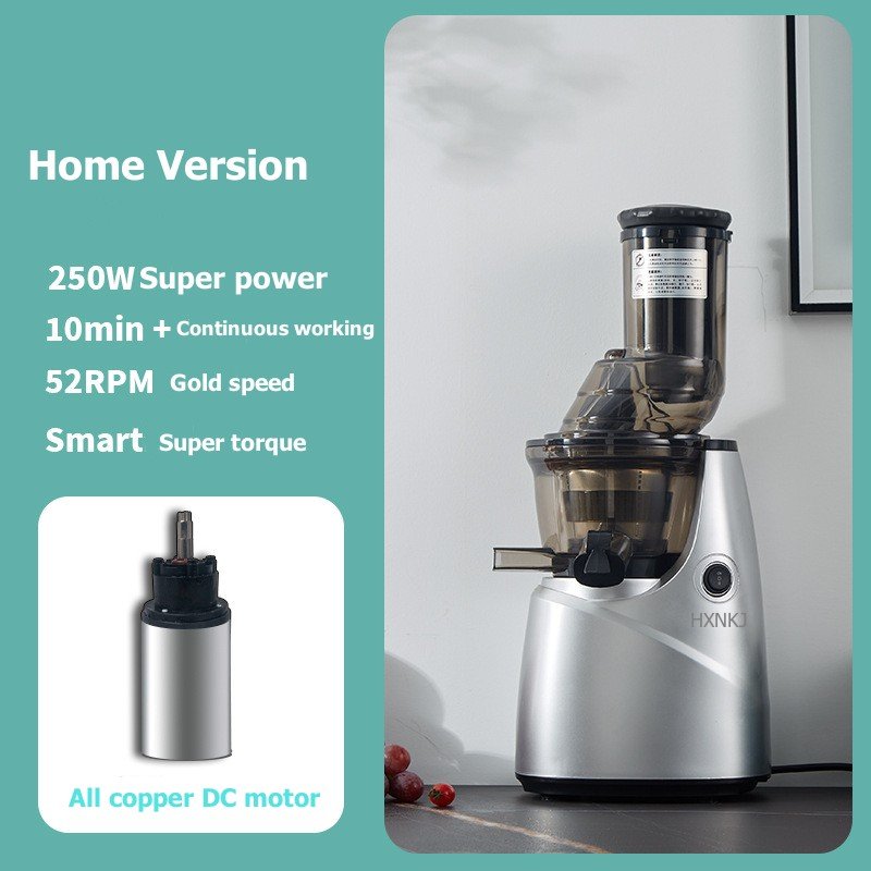 Household Blender Cold Press Slow Juicer Machine For Fruit And Vegetable