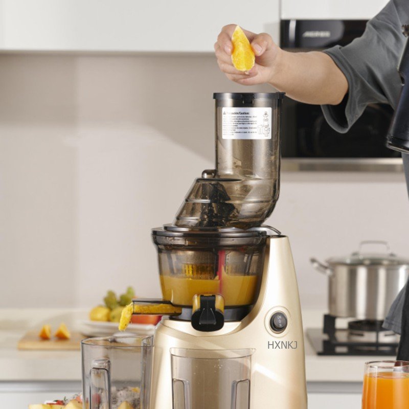 Household Blender Cold Press Slow Juicer Machine For Fruit And Vegetable