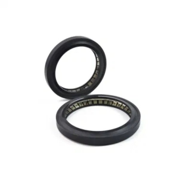 PTFE spring energized seal, spring face mechanical rod seal