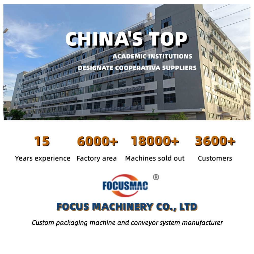 Take away Industrial Z conveyor machine Customized 304 Z type bucket elevator chain price for food beans peanuts