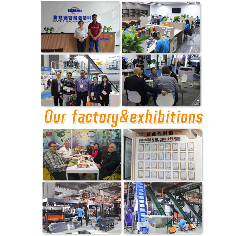 Take away Industrial Z conveyor machine Customized 304 Z type bucket elevator chain price for food beans peanuts