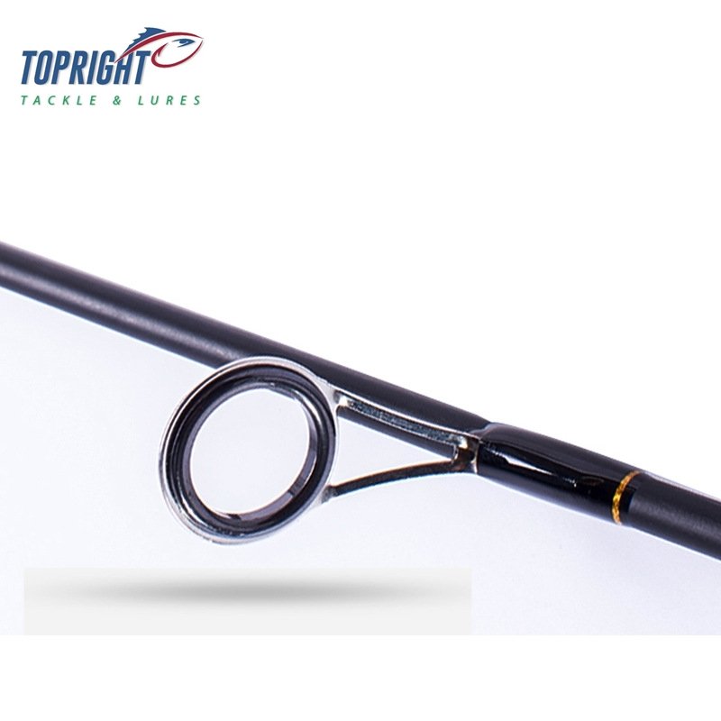 Top Right 192.2g 270cm Two Sections Casting Fishing Rod Portable Sea Lightweight Hard Telescopic Fishing Casting Rod