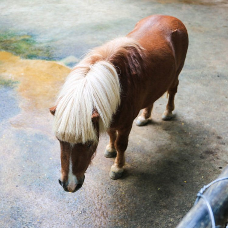 Animal husbandry mats 10mm 25mm Rubber Sheets Cow Horse Stall Matting esd rubber mats