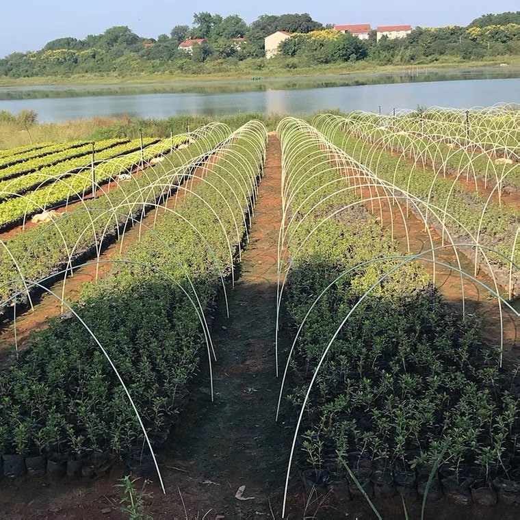 Fiberglass structural shapes frp rod glass fiber rod fiberglass stick manufacturer