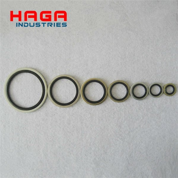 Brass/ Stainless steel/ Plated metal Rubber Gasket