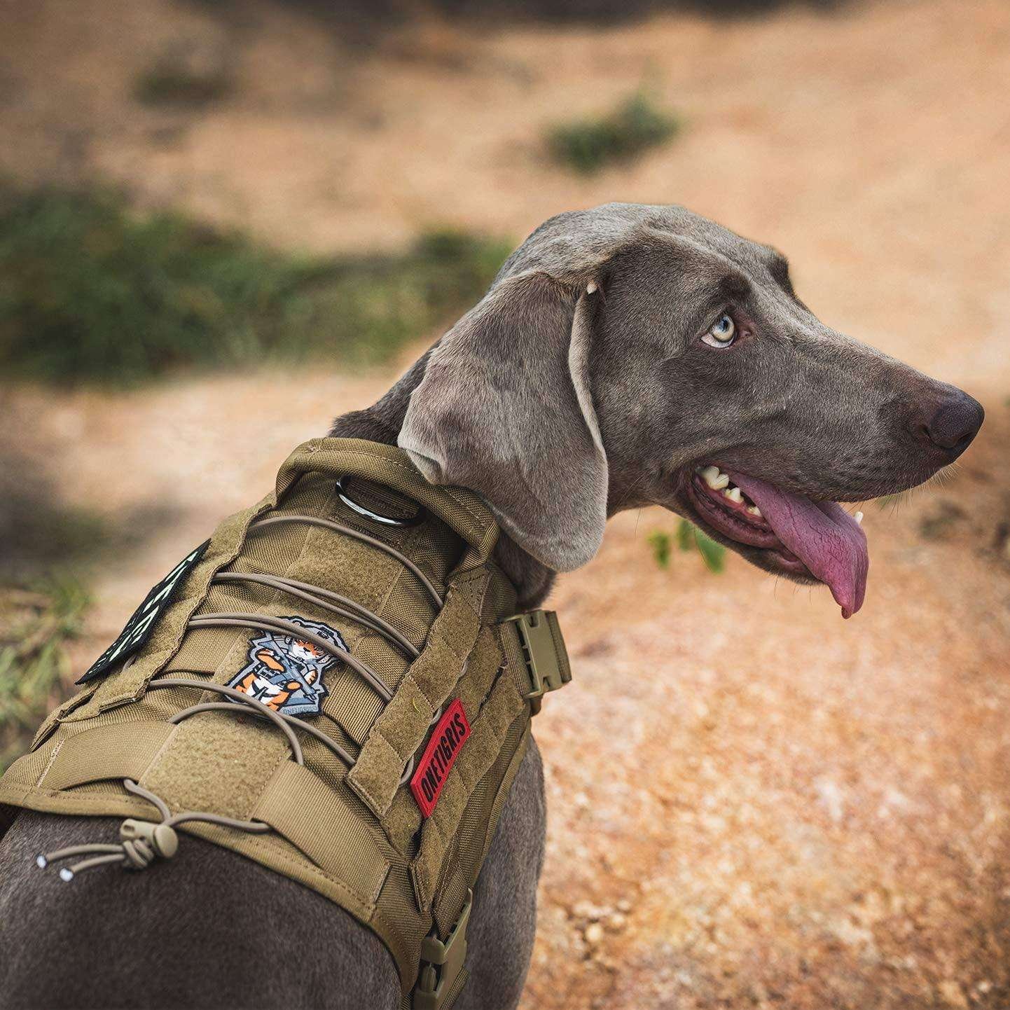 Dog pet Harness Vest with Handle Dog Harness for Loop Panels Adjustable Dog Vest Harness for Walking