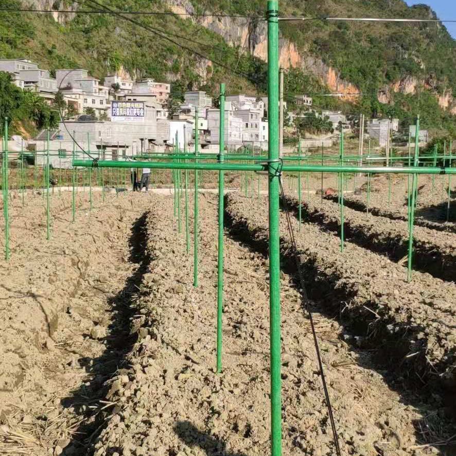 GFK Customized size GFRP Pultrusion Solid Fiberglass Rod For Agriculture Stake