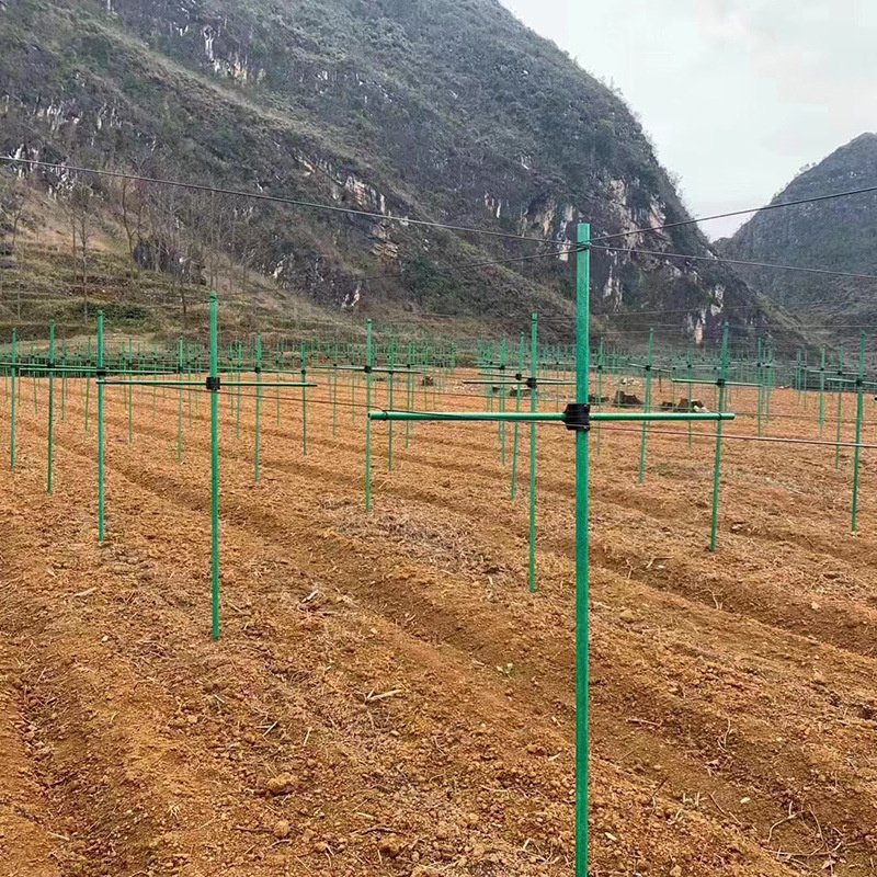 GFK Customized size GFRP Pultrusion Solid Fiberglass Rod For Agriculture Stake
