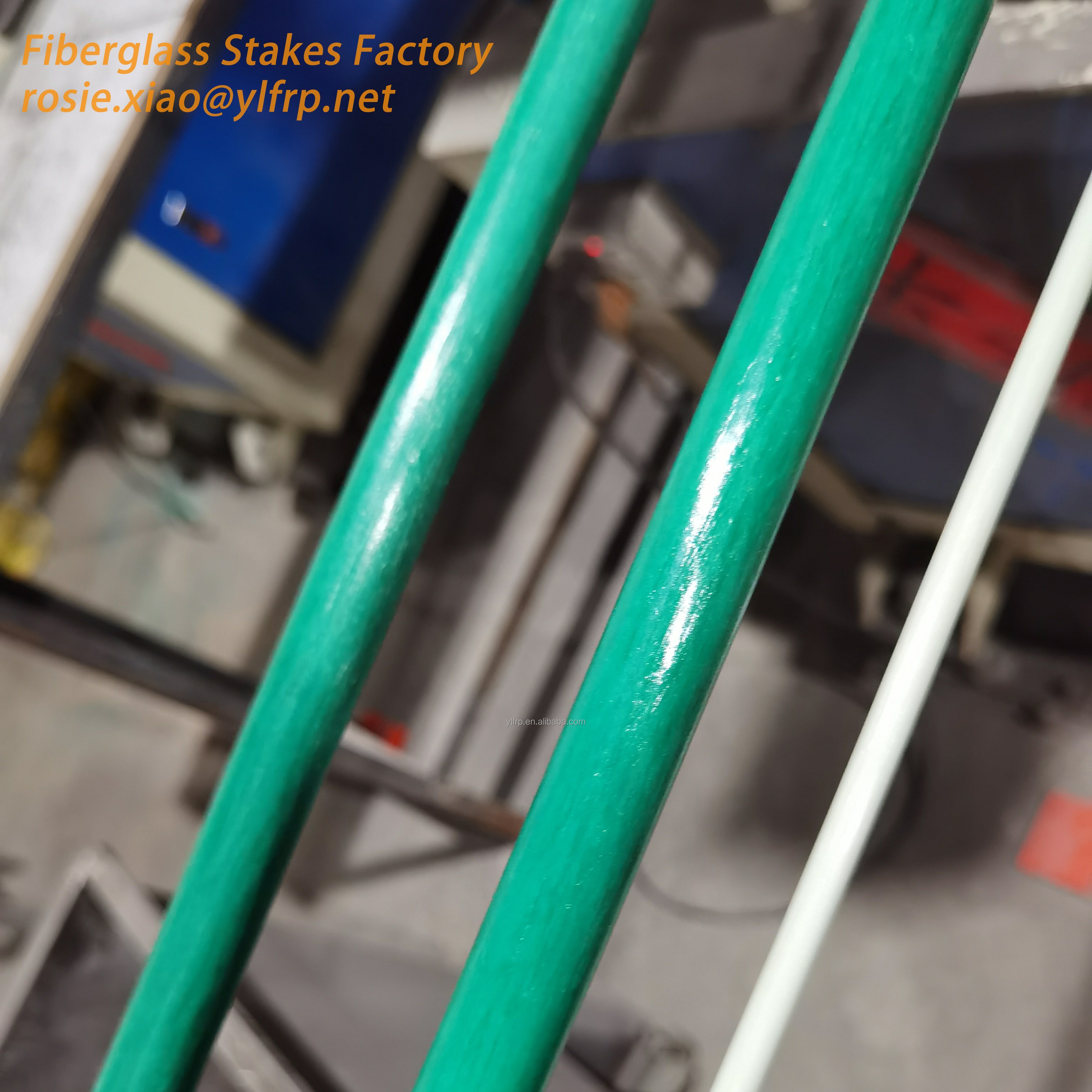 China 12.7MM Green white Color FRP Solid Fiberglass Rods for Apple Tree Nursery Stake