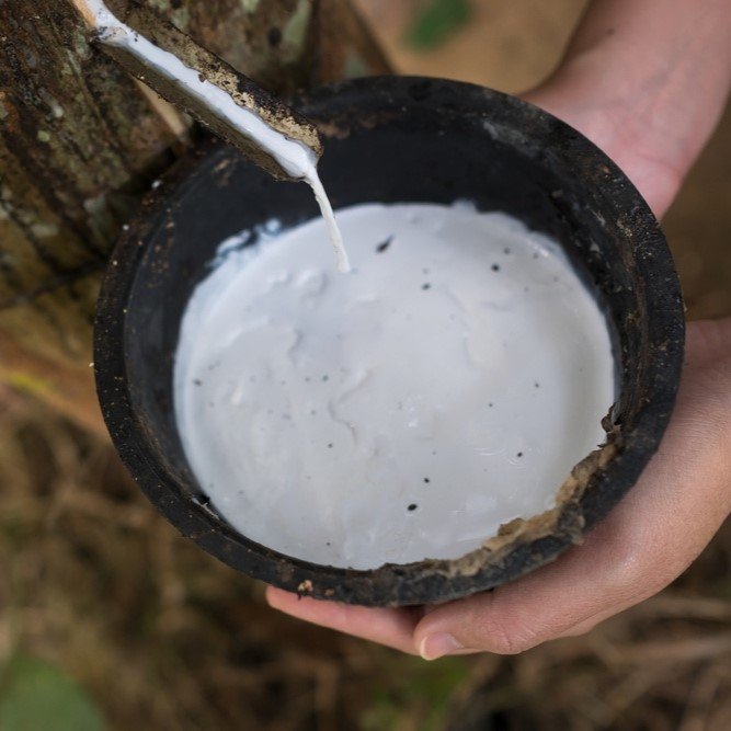 High Quality Natural Latex Rubber Liquid Molding Grade from Ngoc Chau Factory Vietnam