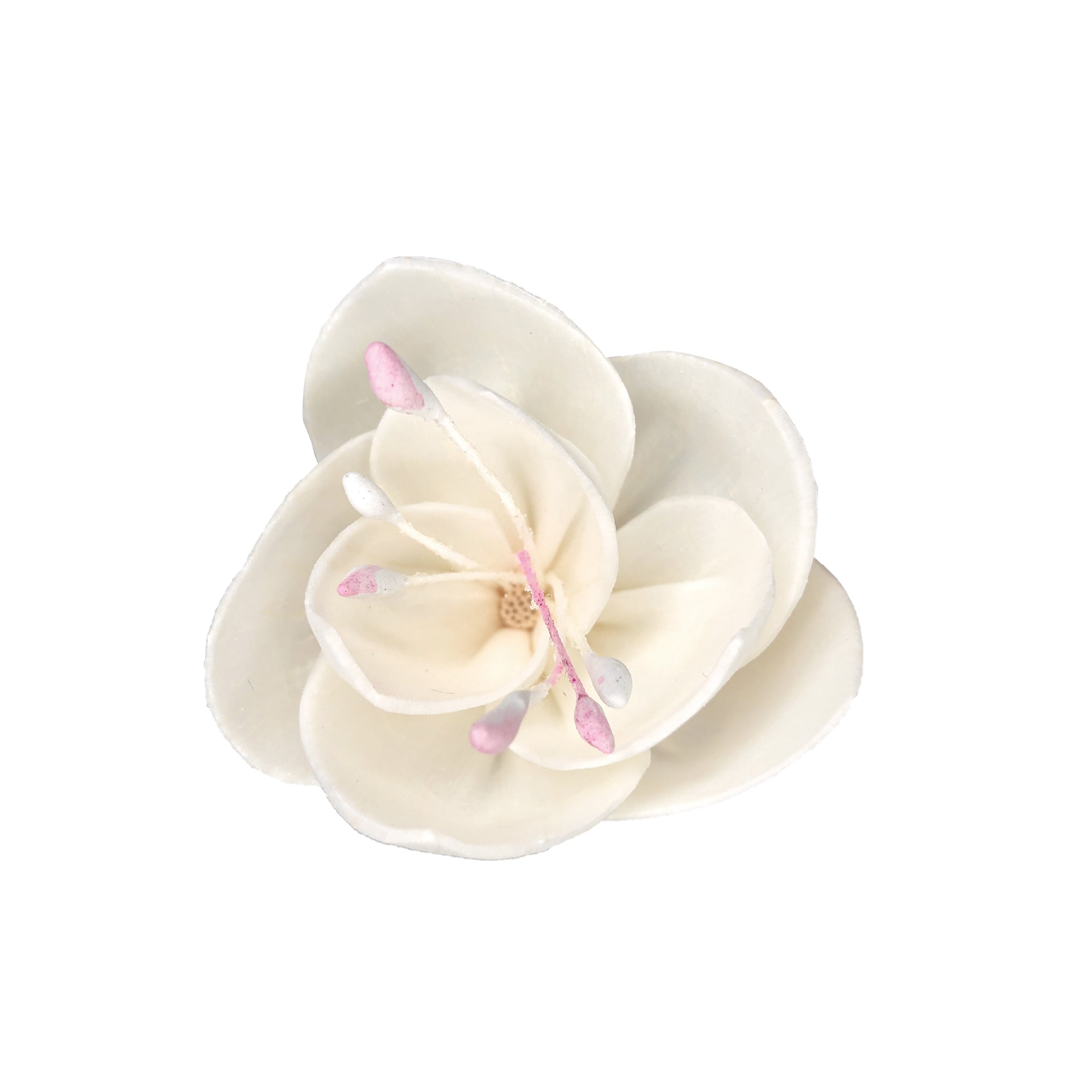 Customized Reed Diffuser Rattan Stick With Sola Flowers