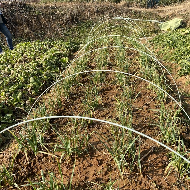 Anhui Tianfu Fiber Rod Fiber Glass Rod Spear Plastic Solid Stick 8/10/12 14mm For Vegetable Greenhouse