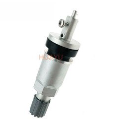 TPMS-10