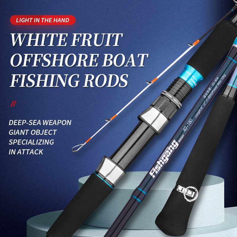 Ranmi Japan Full Fuji Parts Lure Sea Boat Slow Jigging Fishing Rod 2 Sections Carbon Fiber Saltwater Spinning Fishing Rod