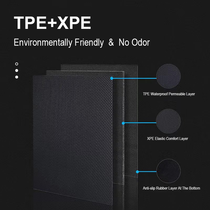Custom Fit Car Interior Accessories XPE Rubber Floor Mat for BYD Dolphin ECO Boot Mat Rear Back Cushion Right Hand Drive