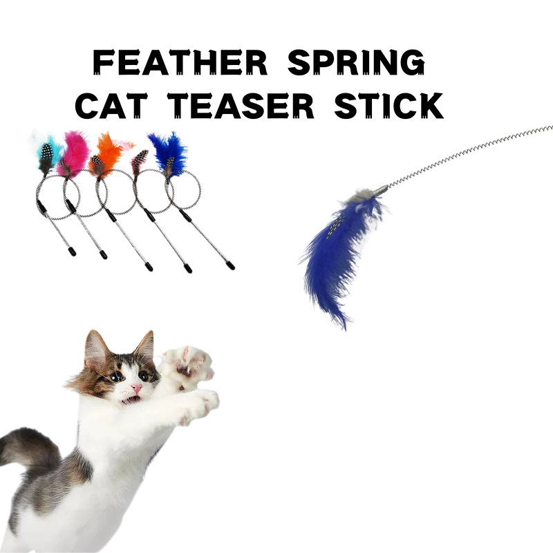 OEM Factory Price Easy-wave Spring interactive cat toy fishing rod accessories feather replacement head Flexible cat stick