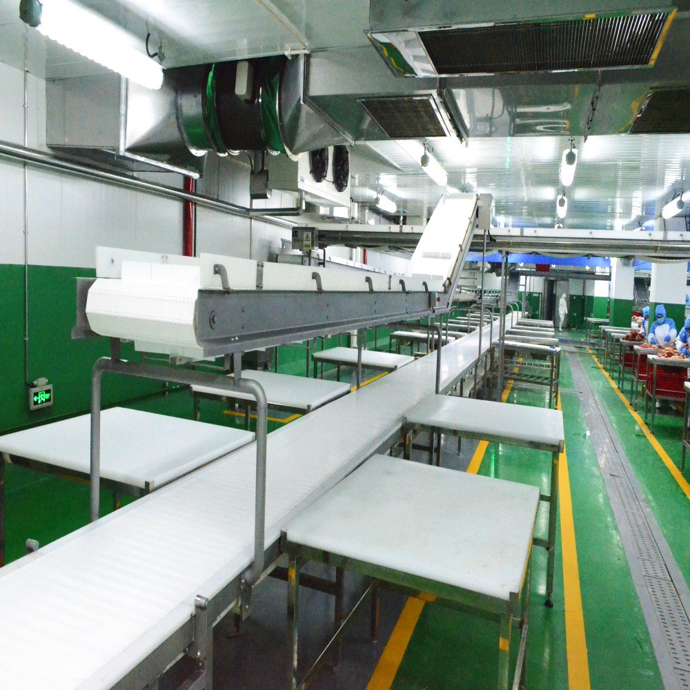 Automatic Transport Conveying Belt Line with Crate Washer for Slaughter Workshop