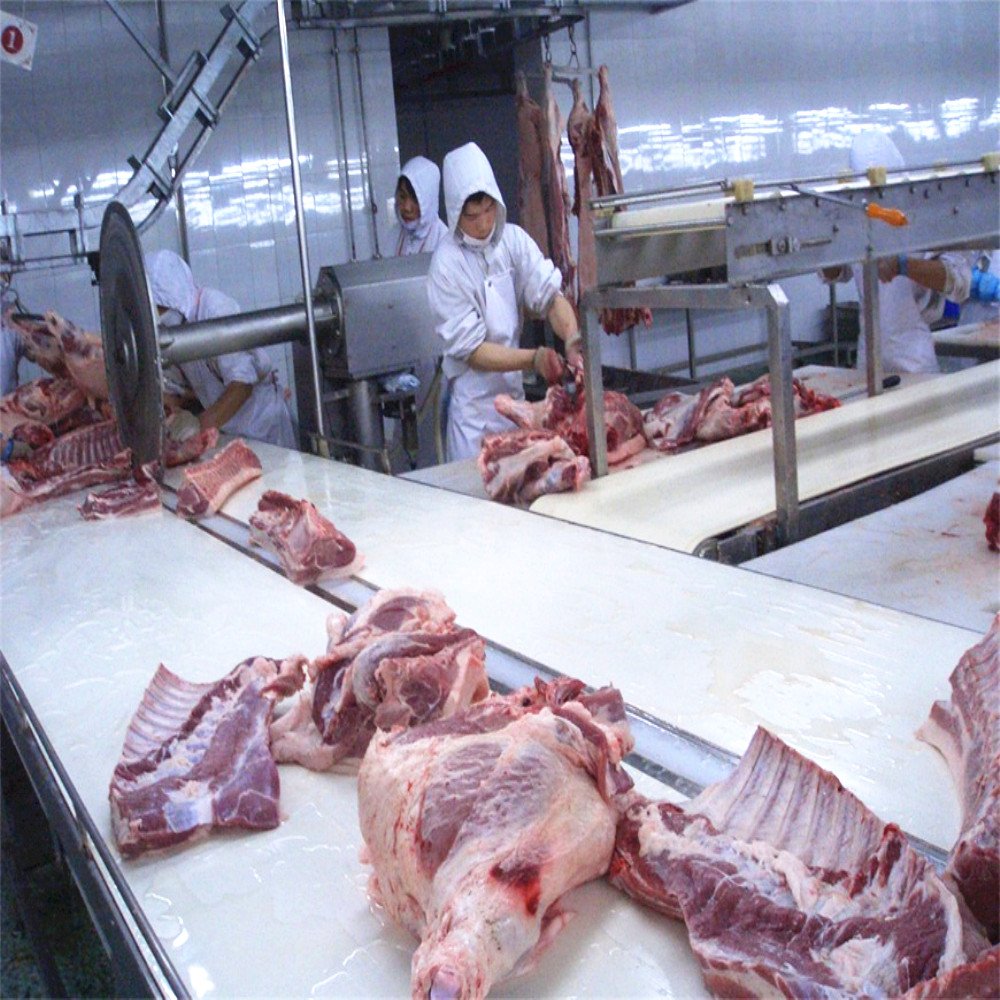 Automatic Transport Conveying Belt Line with Crate Washer for Slaughter Workshop