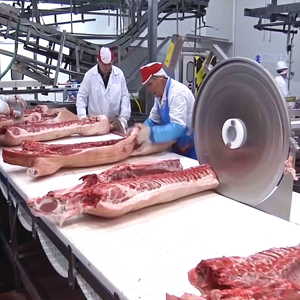 Automatic Transport Conveying Belt Line with Crate Washer for Slaughter Workshop