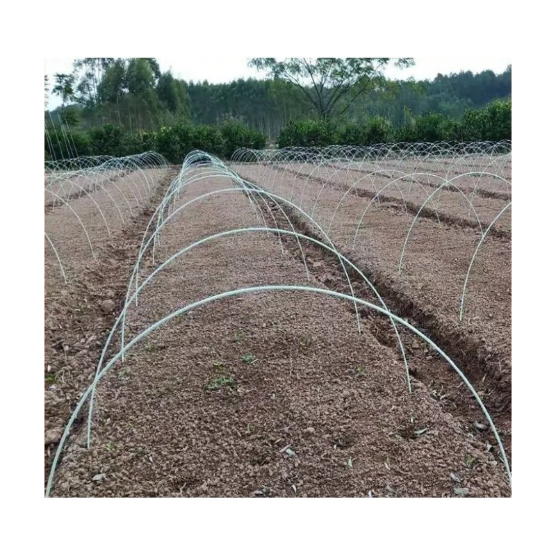 Haoli Flexible FRP Rod 3mm 4mm 5mm 6mm 7mm 8mm Fiberglass Solid Rod For Vegetable/Plant Supporting