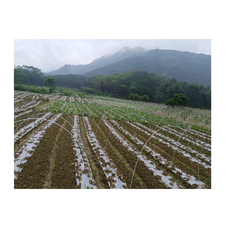 Haoli Flexible FRP Rod 3mm 4mm 5mm 6mm 7mm 8mm Fiberglass Solid Rod For Vegetable/Plant Supporting